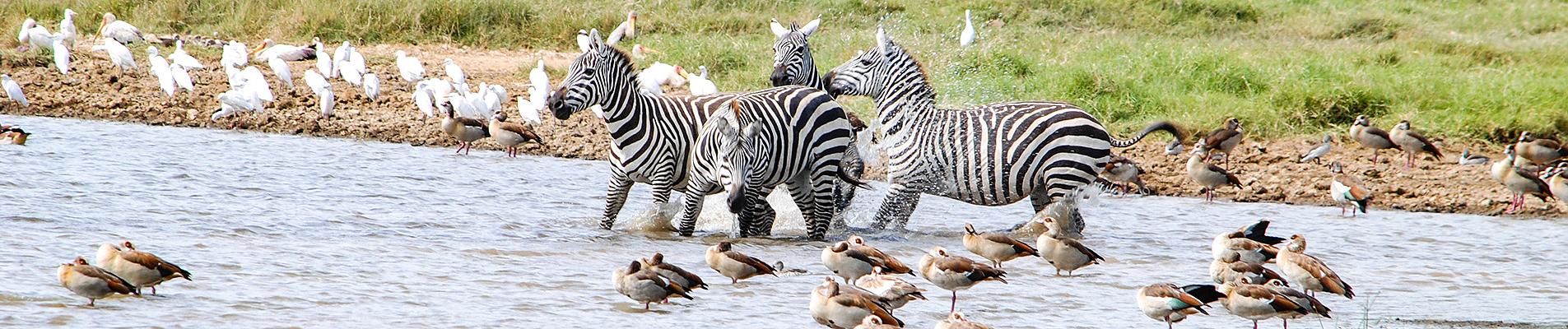 Kenya Private Tours