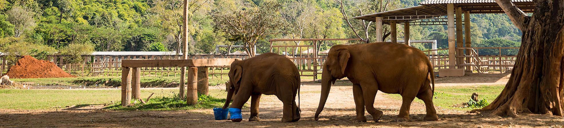 Thailand Tours