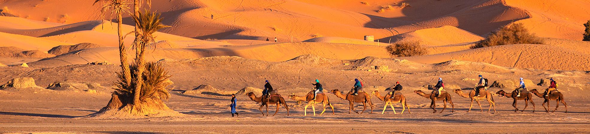 Morocco Tours