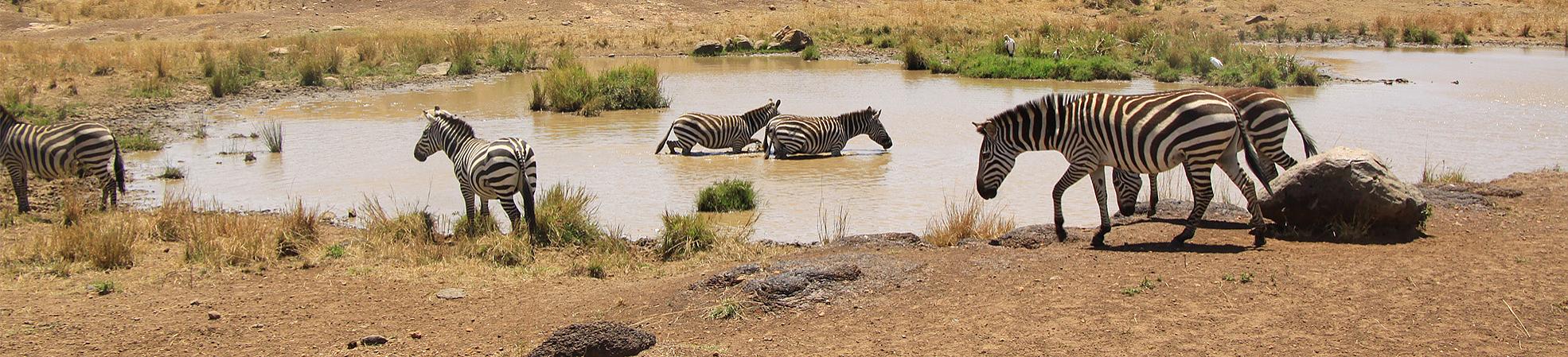 Kenya Tours