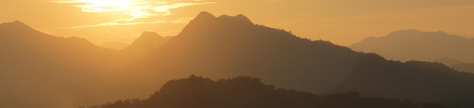 Loyalty & Referral Programs