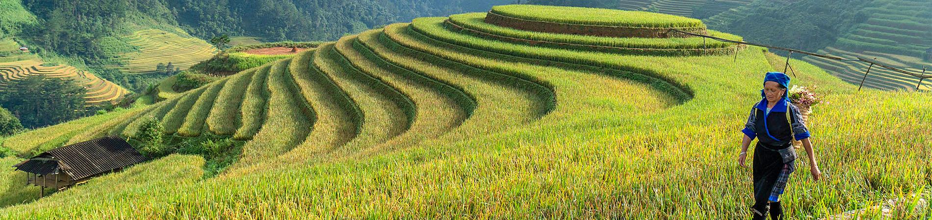 Vietnam and Cambodia Private Tours