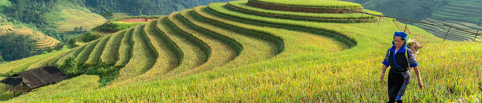 Vietnam and Cambodia Private Tours