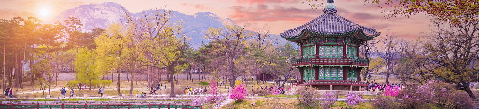 South Korea Private Tours