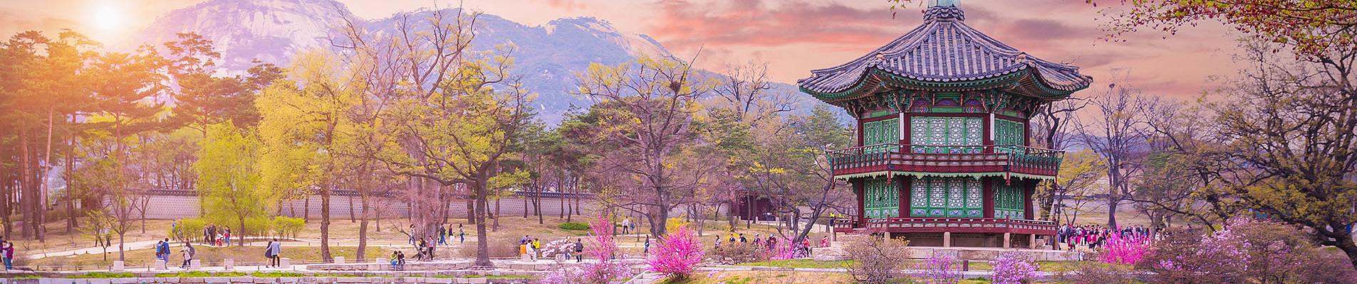 South Korea Private Tours