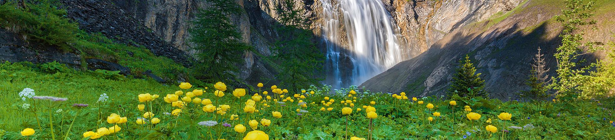 Sustainability Policy of Odynovo