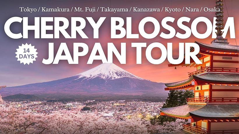 Japan Cherry Blossom Tour