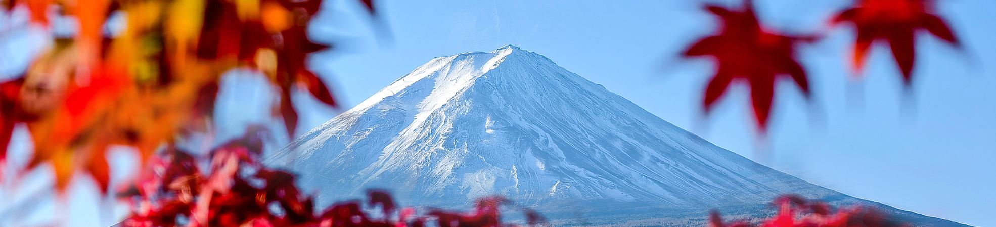 Group Tours to Asia
