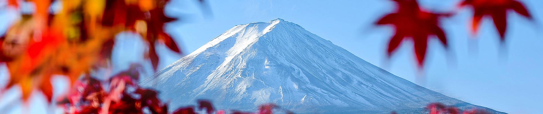 Group Tours to Asia
