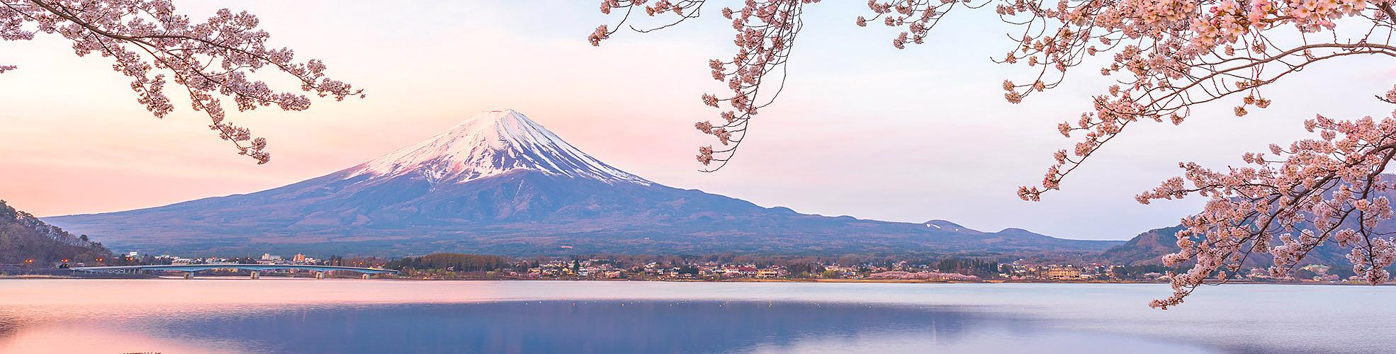 Newsletter Subscription Giveaway