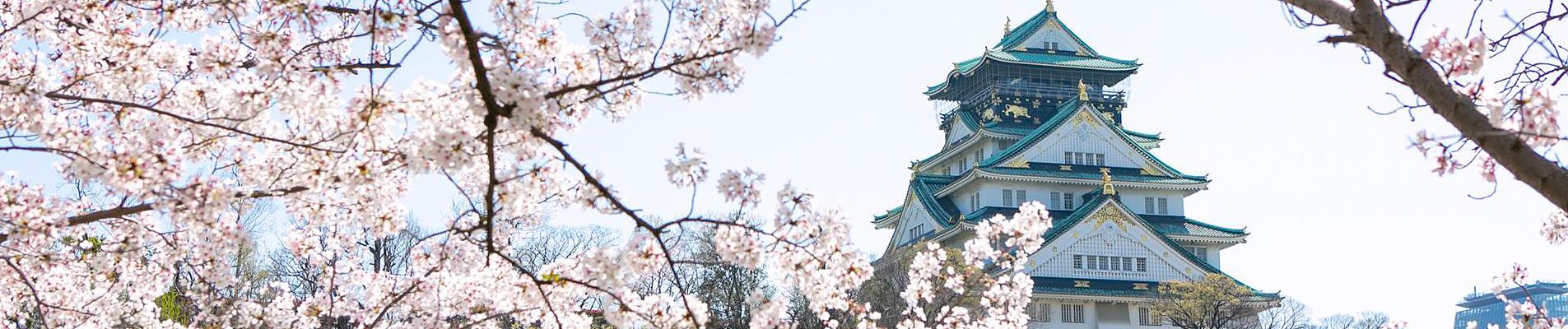 Asia Private Tours