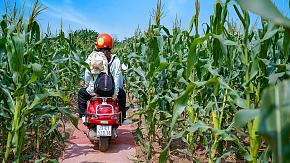 Hanoi Countryside Exploring by Motorbike