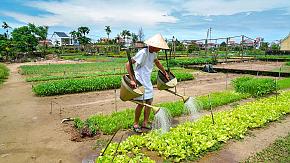 Cooking Class with Local Market Visiting in Hoi An