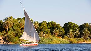 Nile Felucca Sail & Aswan Botanical Garden