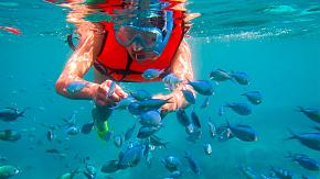 Snorkeling Near Giftun Island of Hurghada