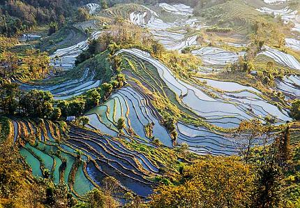 Rizières en Terrasses de Yuanyang