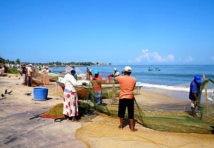 Village de Pêcheurs de Negombo