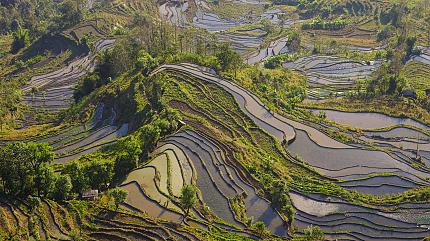 Yaunyang les rizières en terrasses