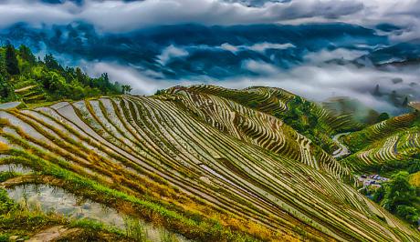 Scenic China: Rice Terraces and Mt. Huangshan