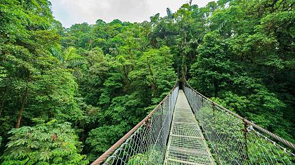 Arenal Volcano Area