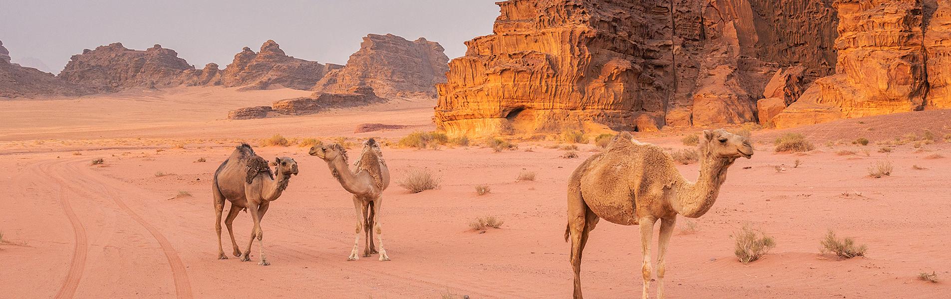 Wadi Rum