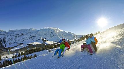 Snow Activities
