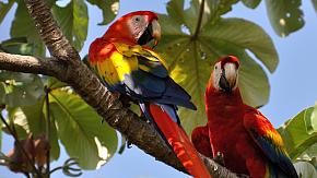 The Best of Costa Rica