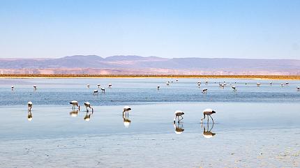 Chaxa Lagoon, San Pedro de Atacama