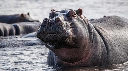 Lake Manyara National Park