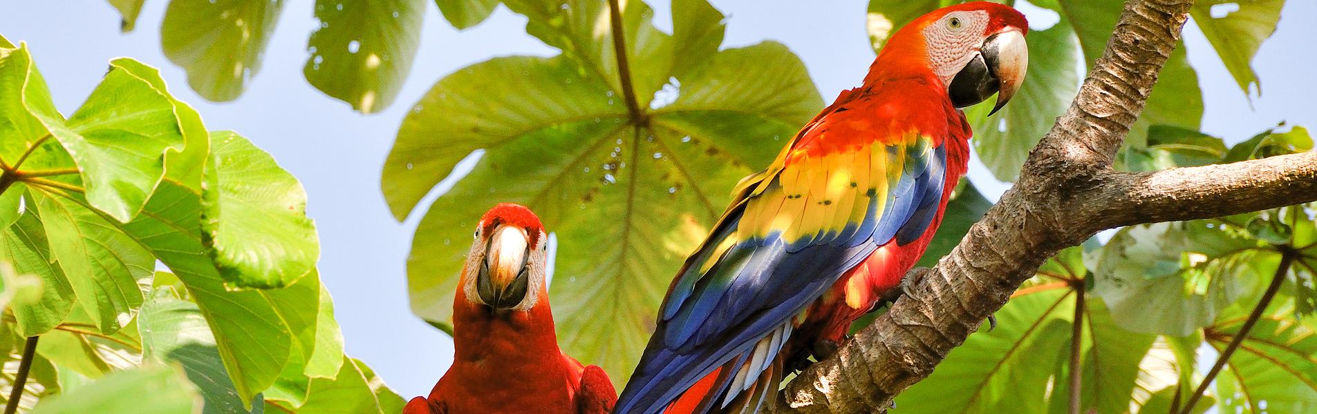 Costa Rica