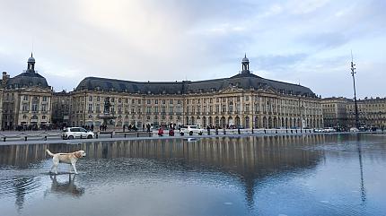 Place de la Bourse, Bordeaux
