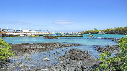Santa Cruz