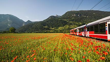 Train Tour