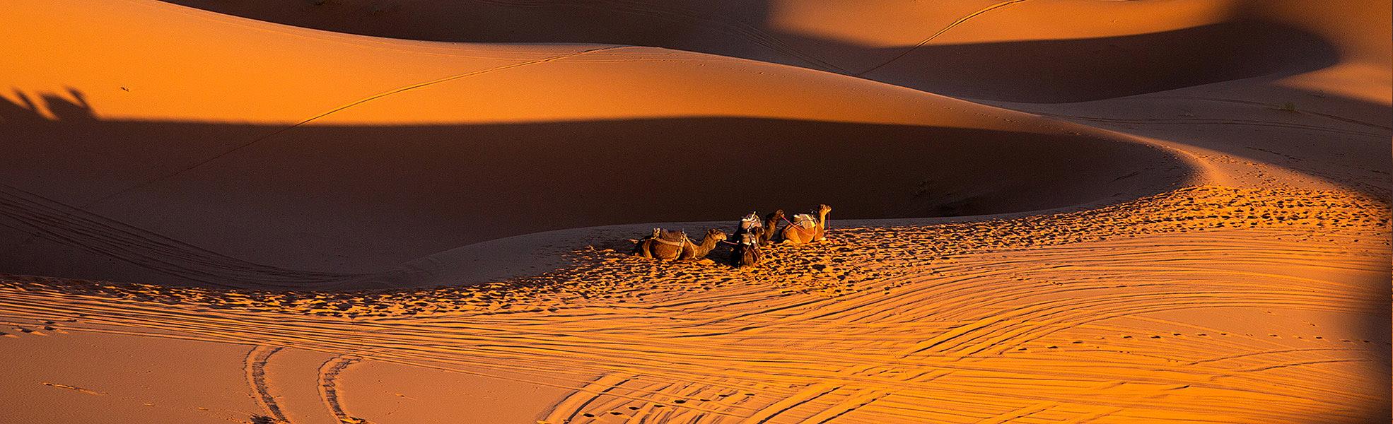 Sahara Desert 