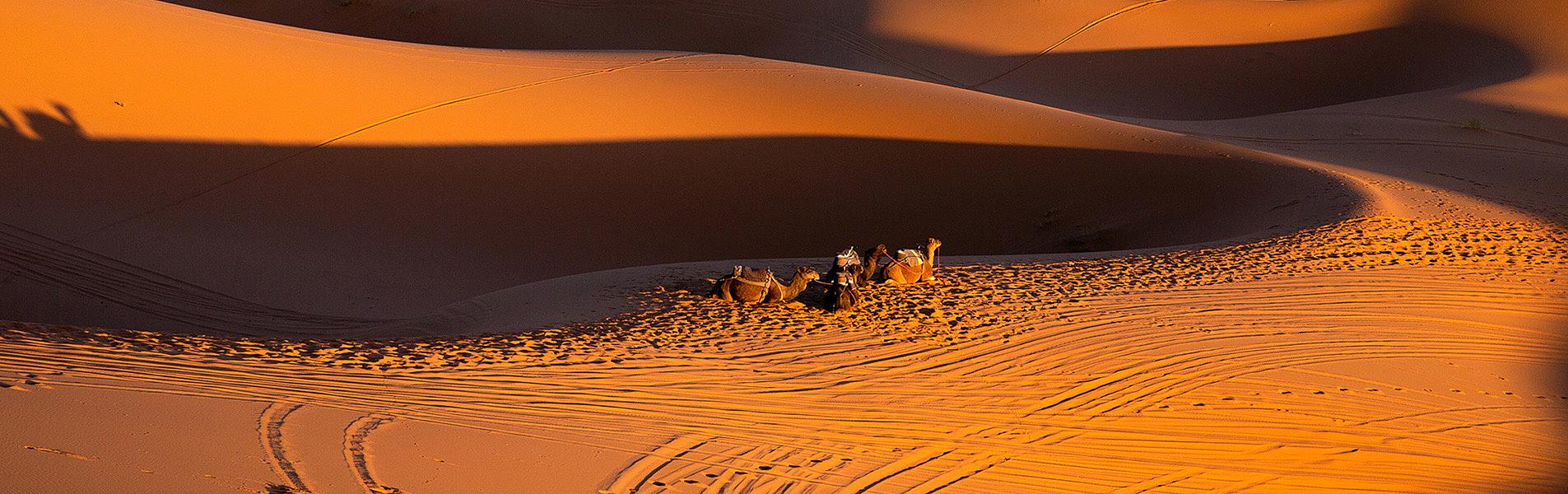 Sahara Desert 