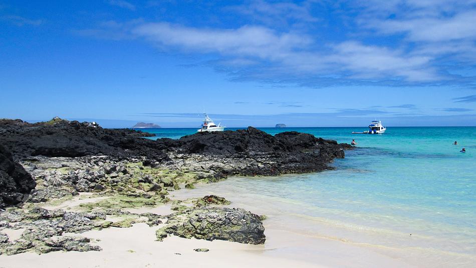 Galapagos Island-Hopping Tour: Santa Cruz, Isabela