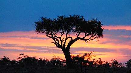 Sunset View in Amboseli National Park