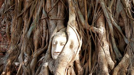 Wat Maha That, Ayutthaya