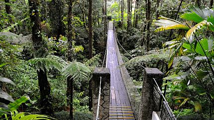 Arenal Volcano Rainforest