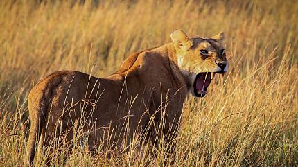 Serengeti National Park