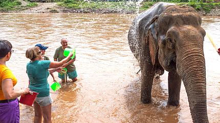 Fun Elephant Experience in Chiang Mai