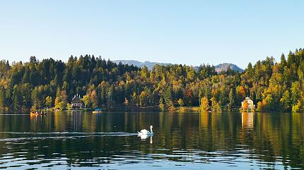 Lake Bled, Slovenia