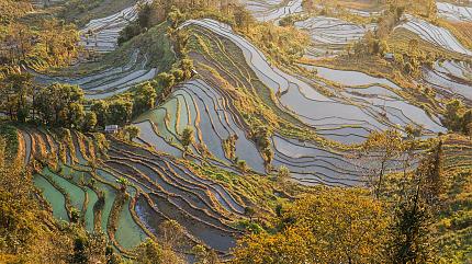 Yuanyang Terraces, Yuanyang