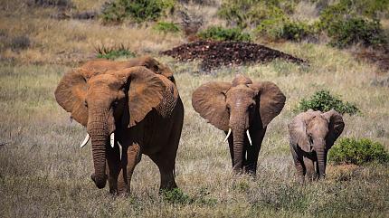Maasai Mara National Reserve