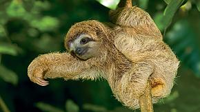 Costa Rica & Mexico: from Rainforest to Maya Ruins