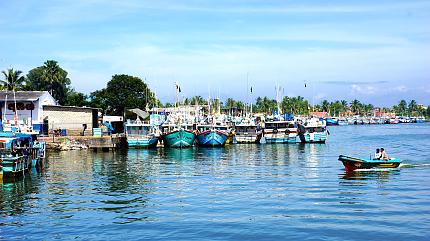 Negombo Fish Market, Negombo