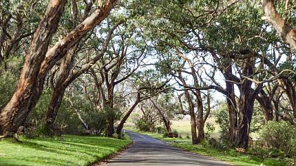 Tower Hill Wildlife Reserve