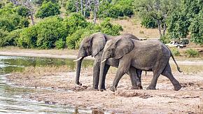 Chobe National Park