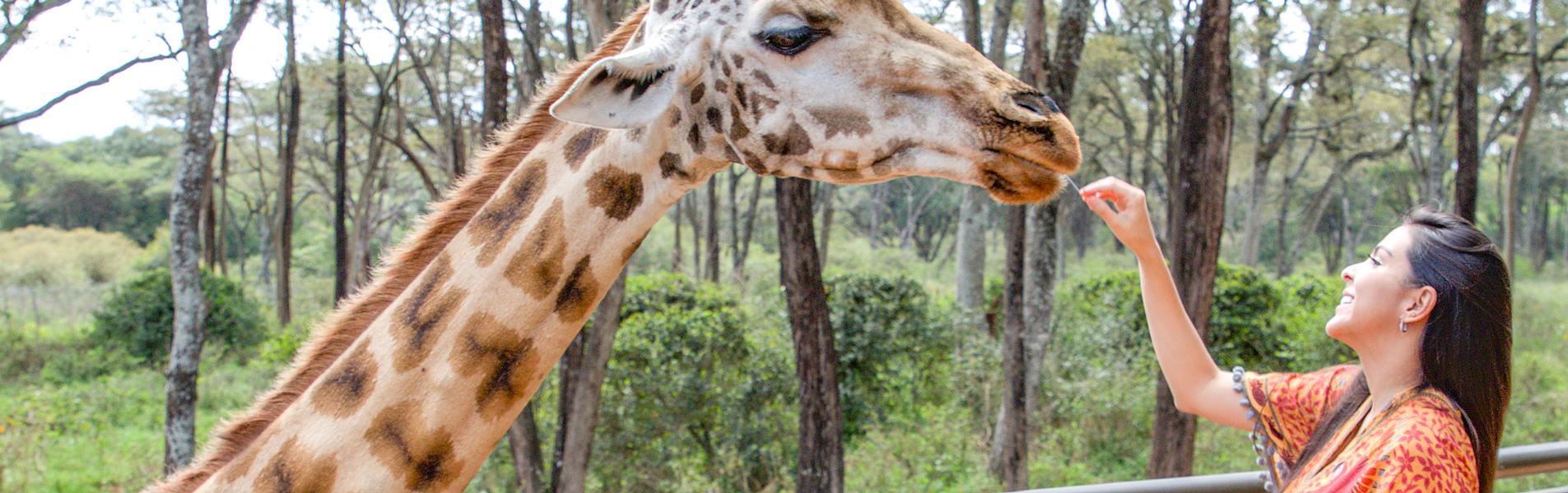 Nairobi
