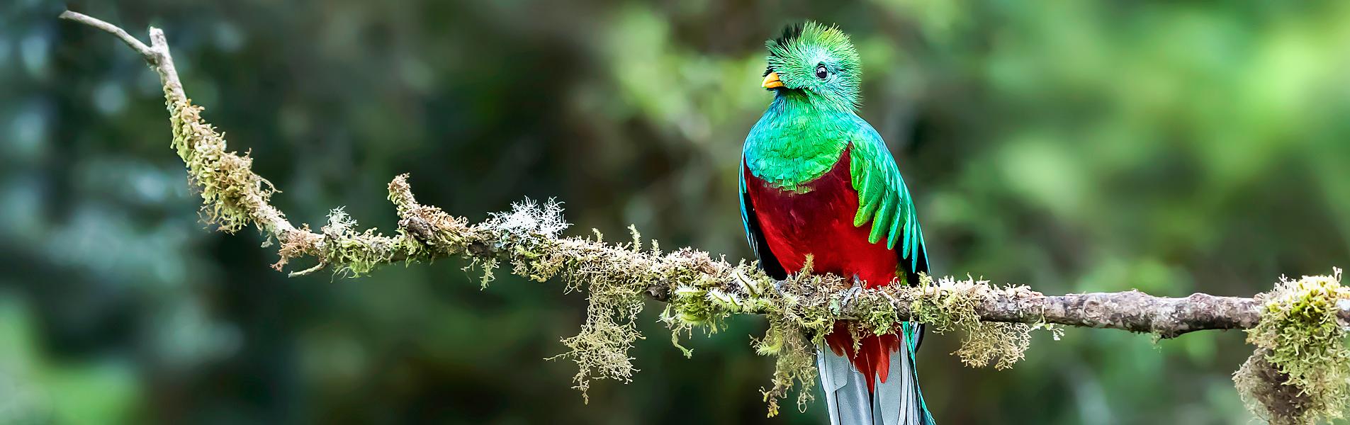 Arenal National Park